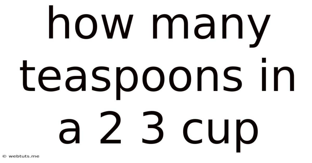 How Many Teaspoons In A 2 3 Cup