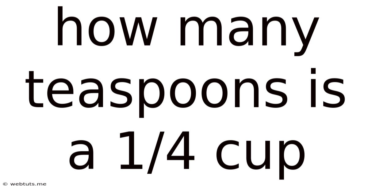 How Many Teaspoons Is A 1/4 Cup