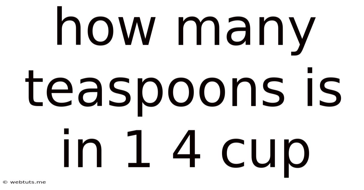 How Many Teaspoons Is In 1 4 Cup
