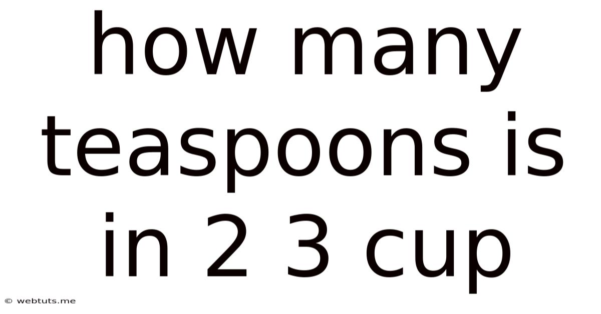 How Many Teaspoons Is In 2 3 Cup