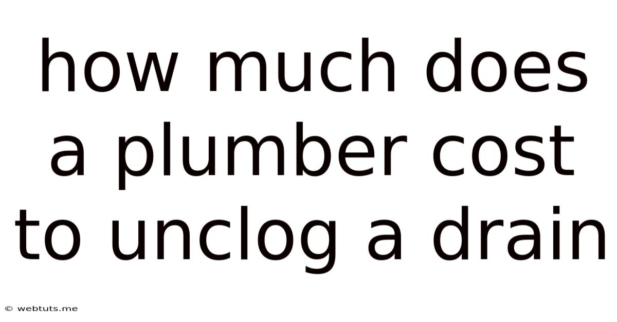 How Much Does A Plumber Cost To Unclog A Drain
