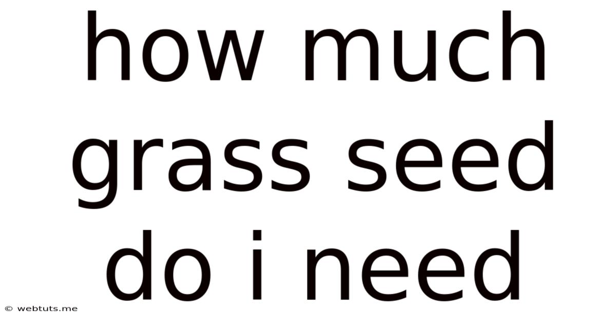 How Much Grass Seed Do I Need