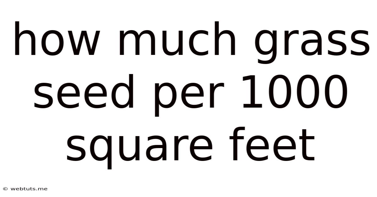 How Much Grass Seed Per 1000 Square Feet