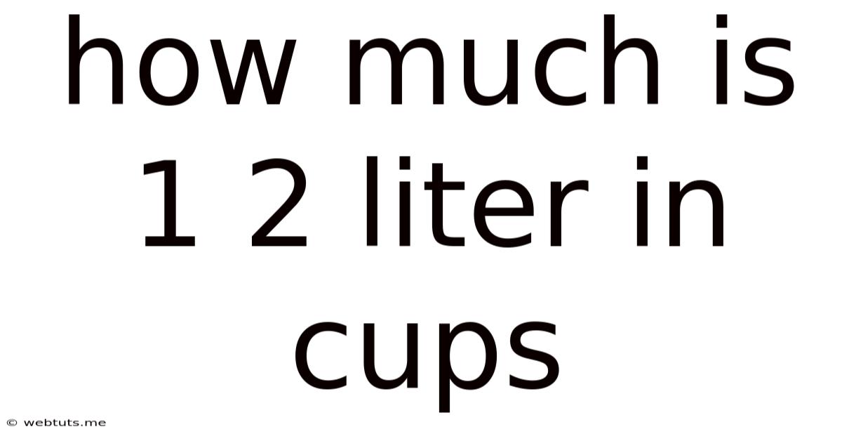 How Much Is 1 2 Liter In Cups
