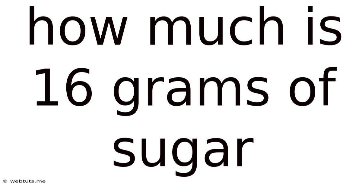 How Much Is 16 Grams Of Sugar