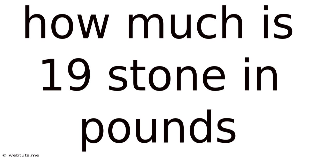 How Much Is 19 Stone In Pounds