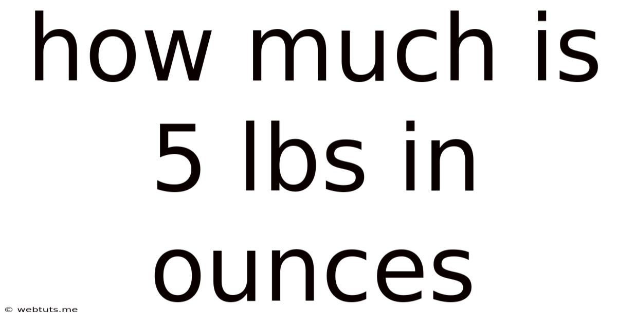 How Much Is 5 Lbs In Ounces