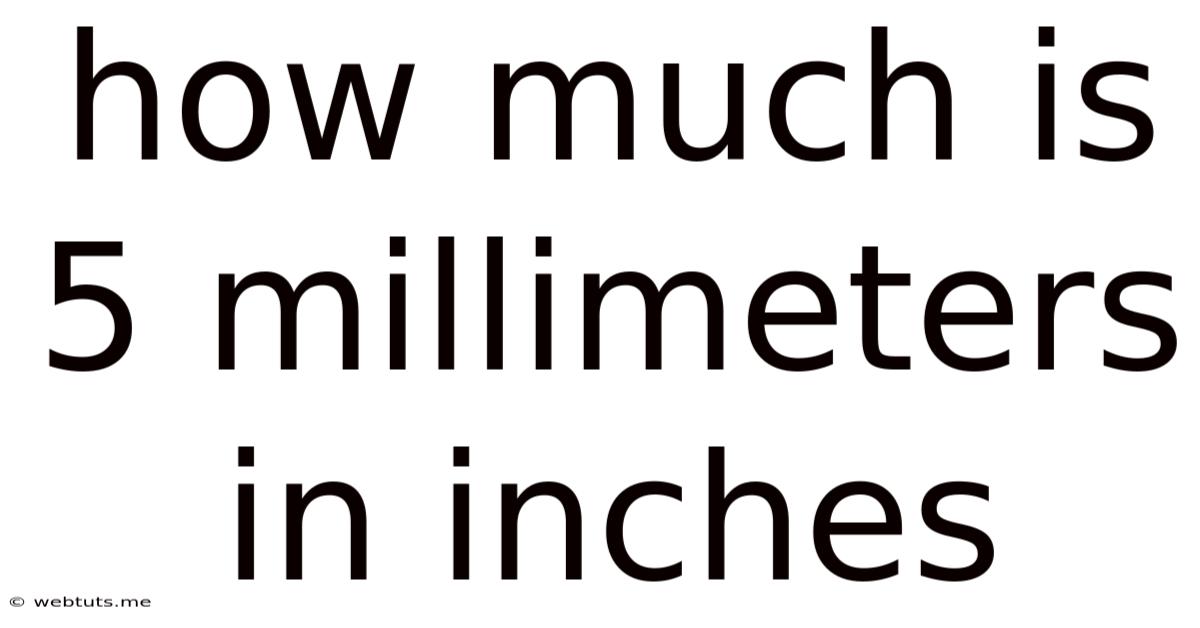 How Much Is 5 Millimeters In Inches