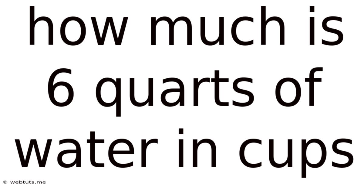 How Much Is 6 Quarts Of Water In Cups