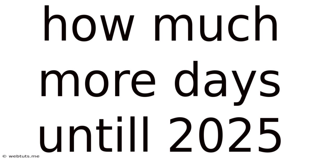 How Much More Days Untill 2025