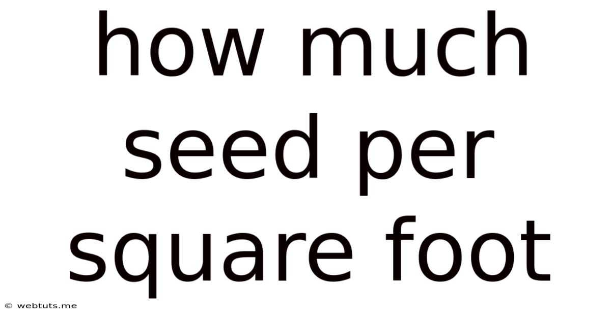 How Much Seed Per Square Foot