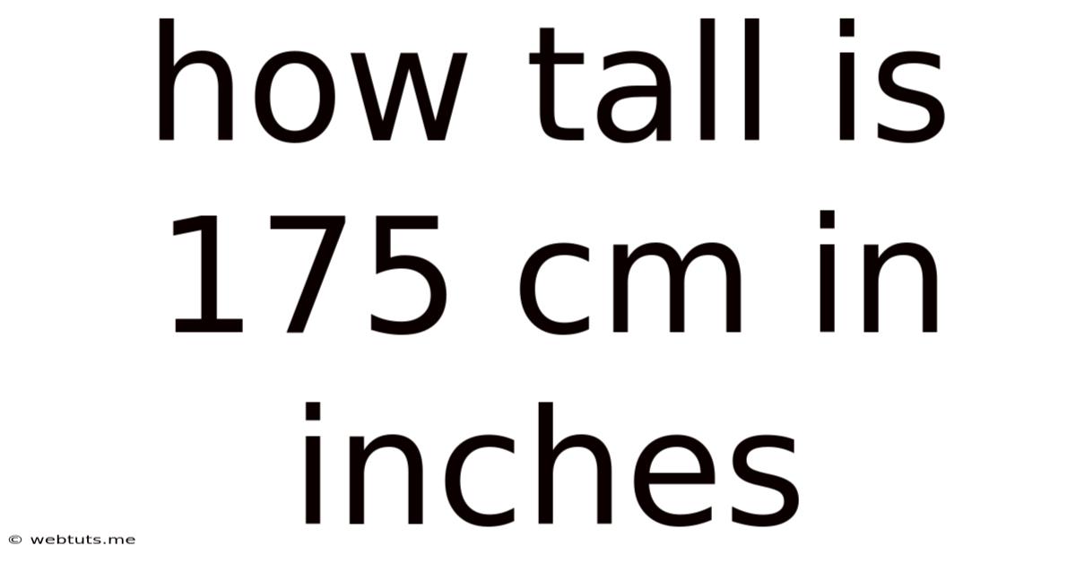 How Tall Is 175 Cm In Inches