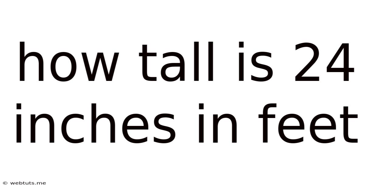 How Tall Is 24 Inches In Feet
