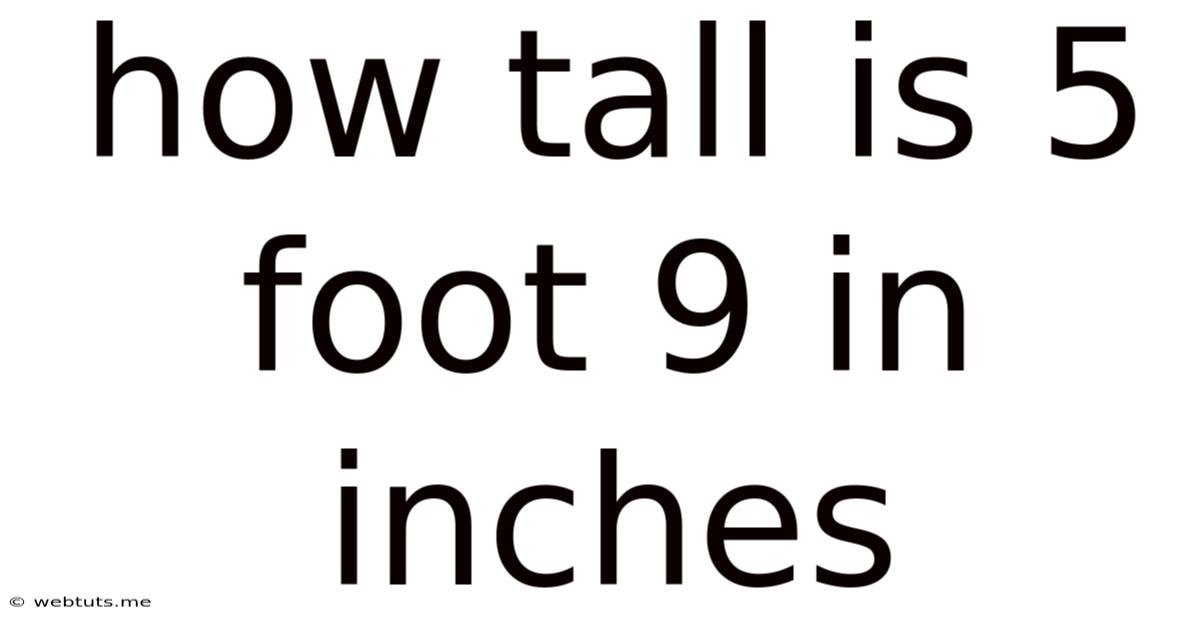 How Tall Is 5 Foot 9 In Inches