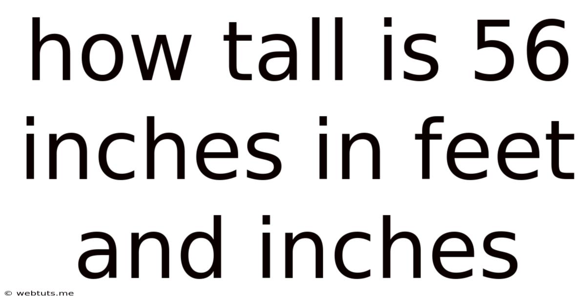How Tall Is 56 Inches In Feet And Inches