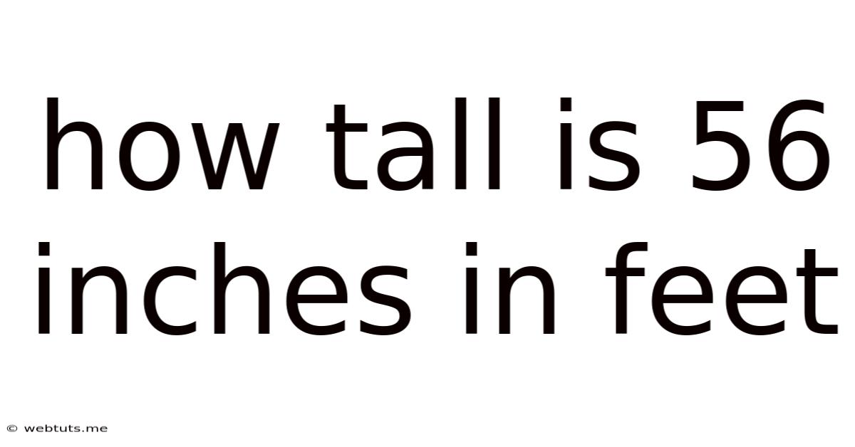 How Tall Is 56 Inches In Feet