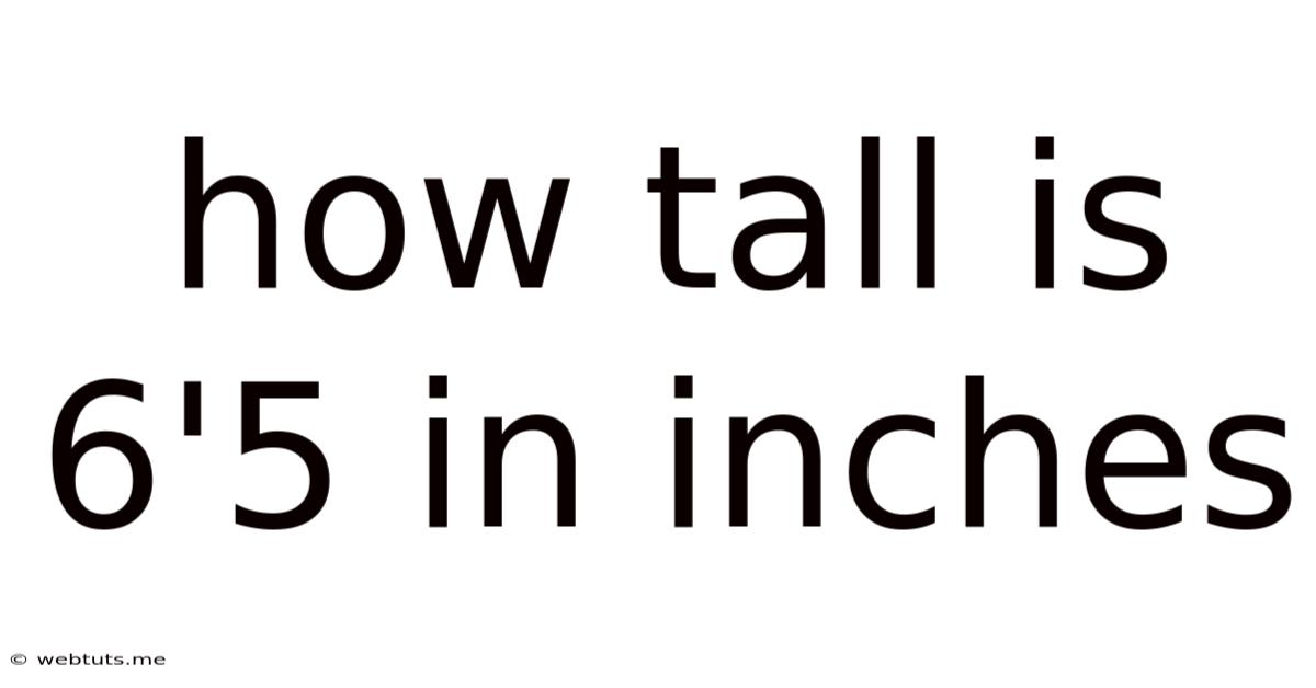 How Tall Is 6'5 In Inches