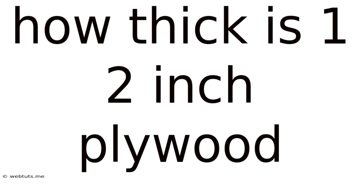 How Thick Is 1 2 Inch Plywood
