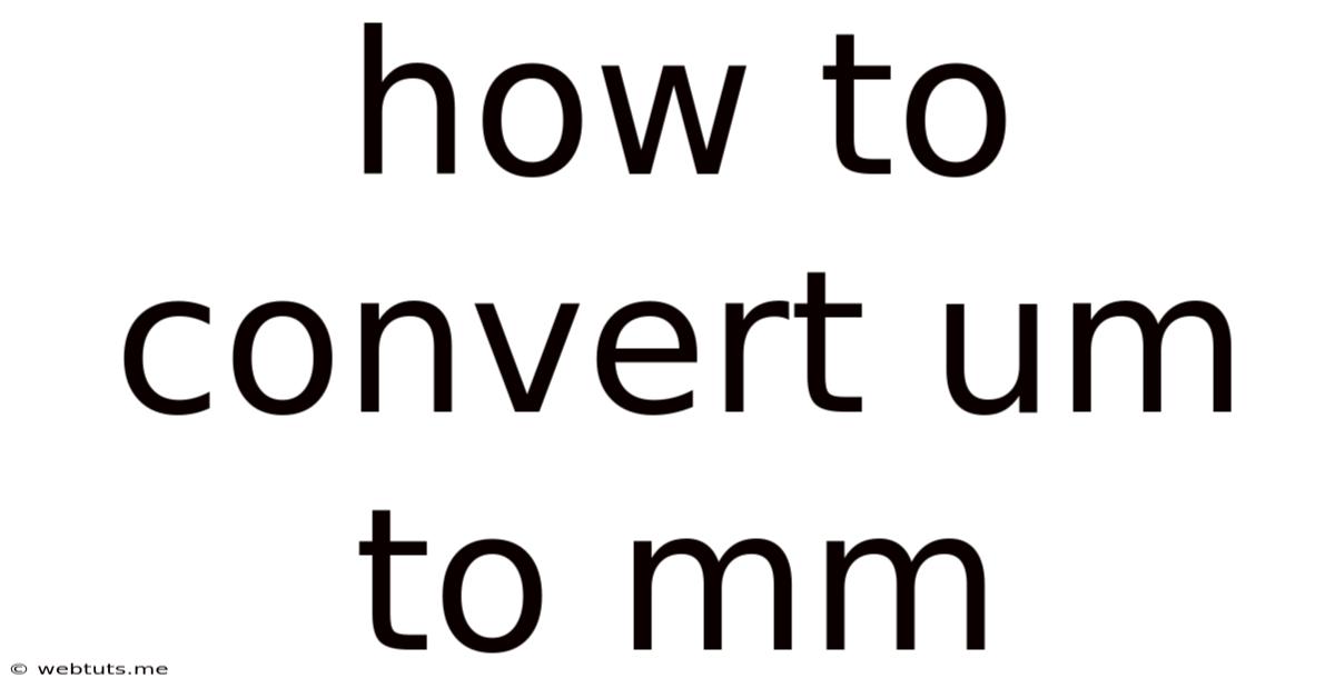How To Convert Um To Mm