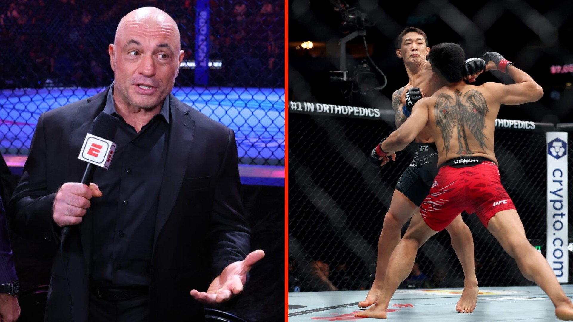 Joe Rogan's Wild Reaction: McGregor's Brutal KO