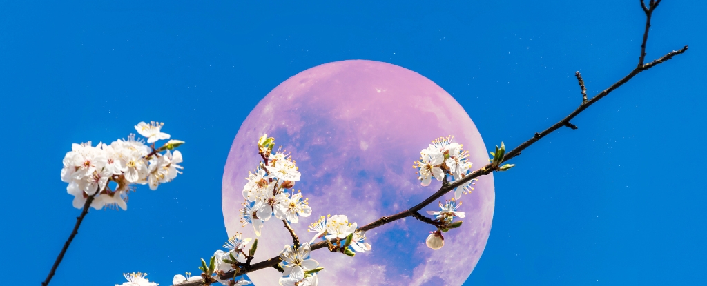 June's Low Moon: A Decades-Low Event