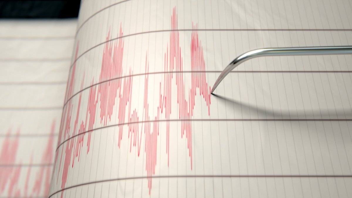 LA Earthquake: Magnitude 2.5 Shakes City