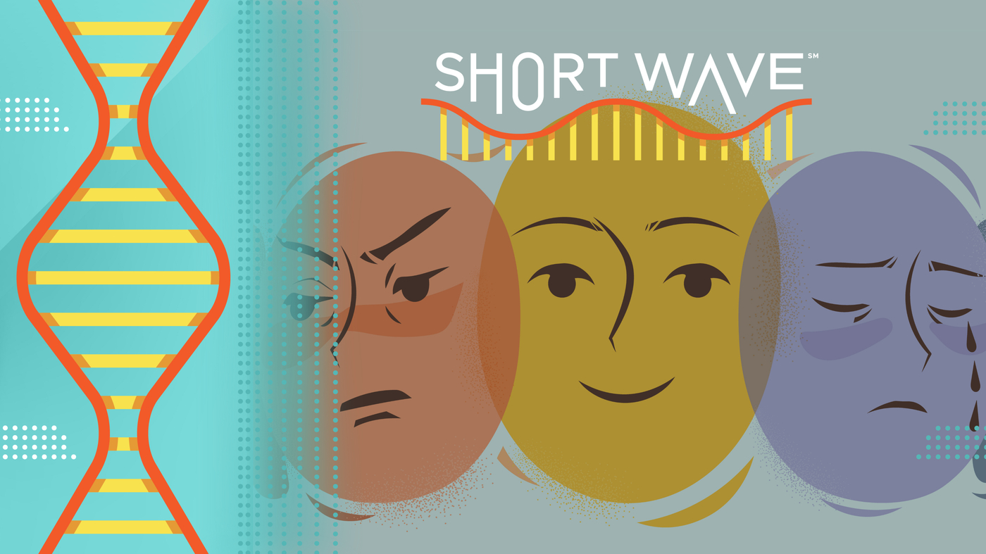 Living With Bipolar: A Researcher's Story