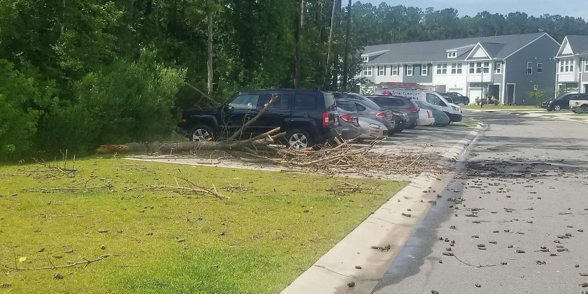 Lowcountry Thunderstorm Watch Cancelled