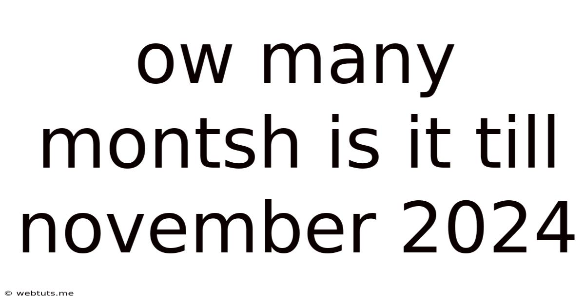 Ow Many Montsh Is It Till November 2024