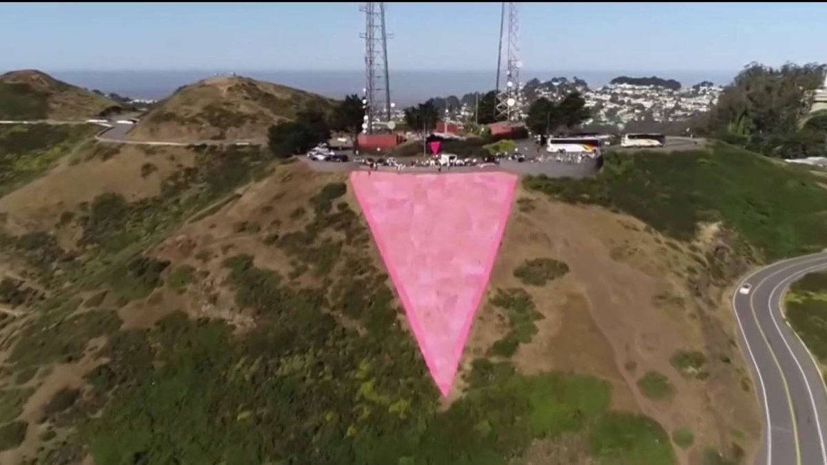 Pink Triangle: 30 Years Of San Francisco Pride