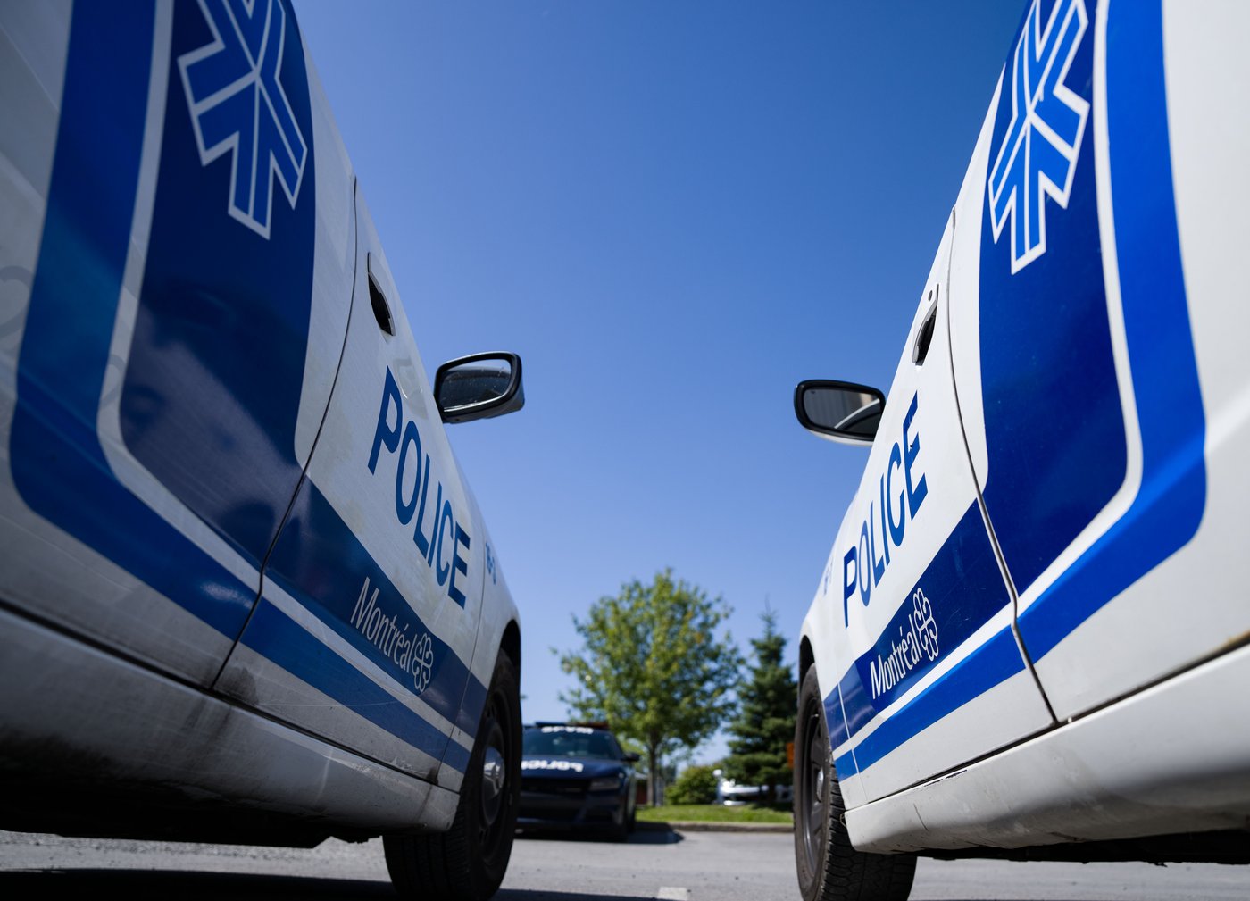 Quebec Organized Crime Crackdown: Mass Arrests