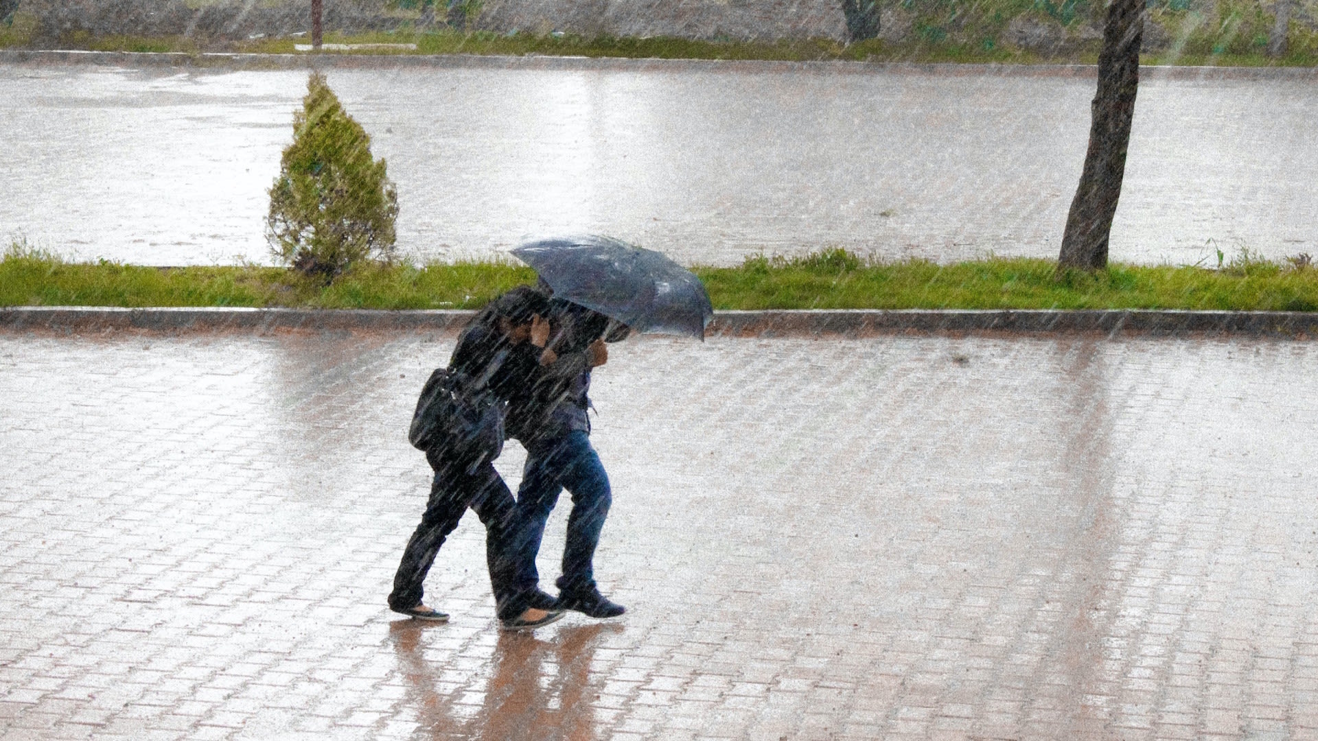 Québec: Up To 70mm Of Rain Expected
