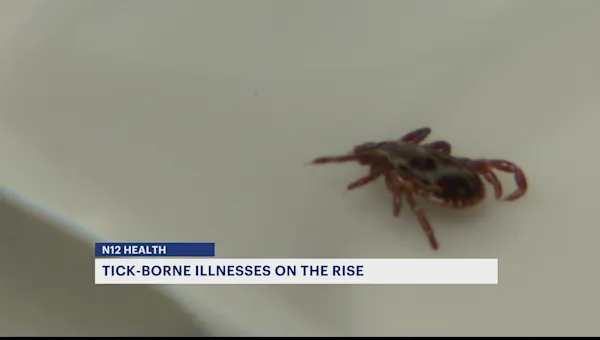 Tick-Borne Illnesses: A 20-Year Quadrupling
