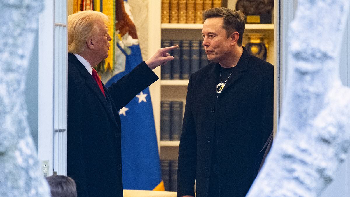Trump Advisor's Role In Musk Feud