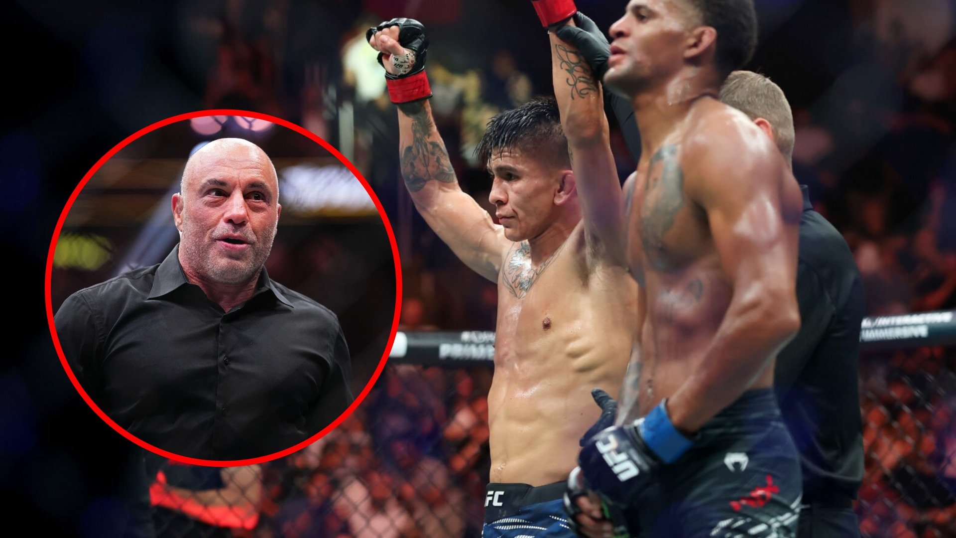 UFC Fury: Rogan Snub After UFC 316 Win