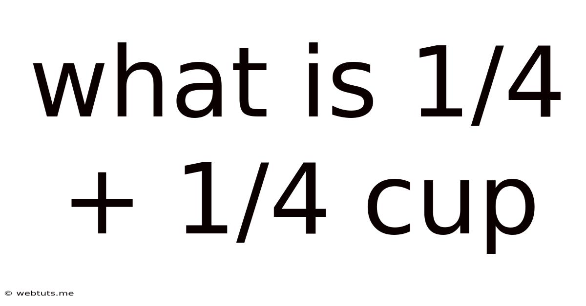 What Is 1/4 + 1/4 Cup