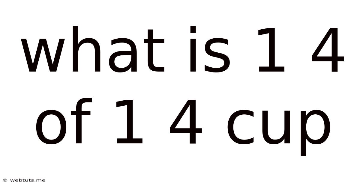 What Is 1 4 Of 1 4 Cup