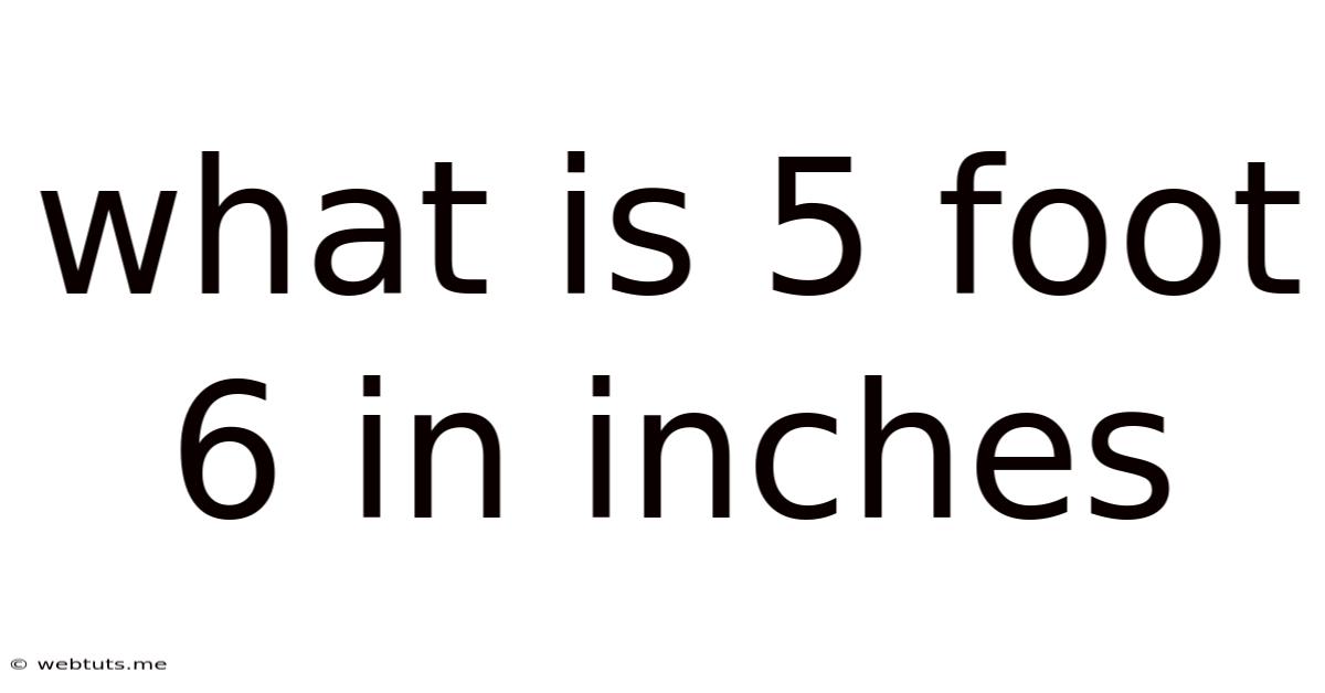 What Is 5 Foot 6 In Inches