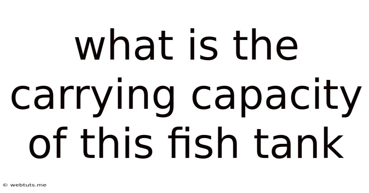 What Is The Carrying Capacity Of This Fish Tank