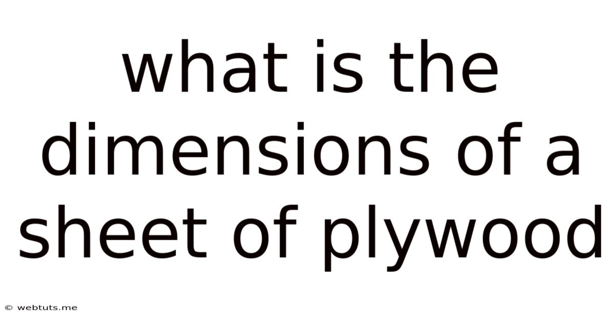 What Is The Dimensions Of A Sheet Of Plywood